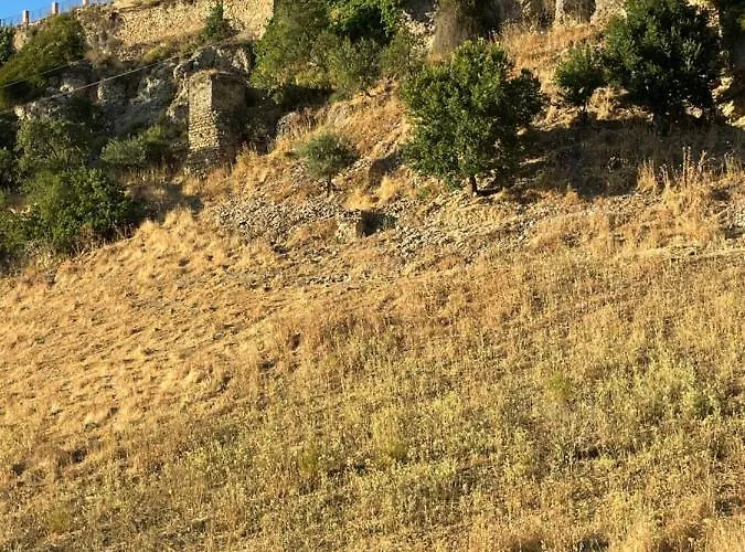 Turisticos, Ponce De Leon, Deluxe * רונדה